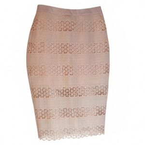 ASTR the Label Blush Pink Lattice Lace Pencil Skirt Medium
